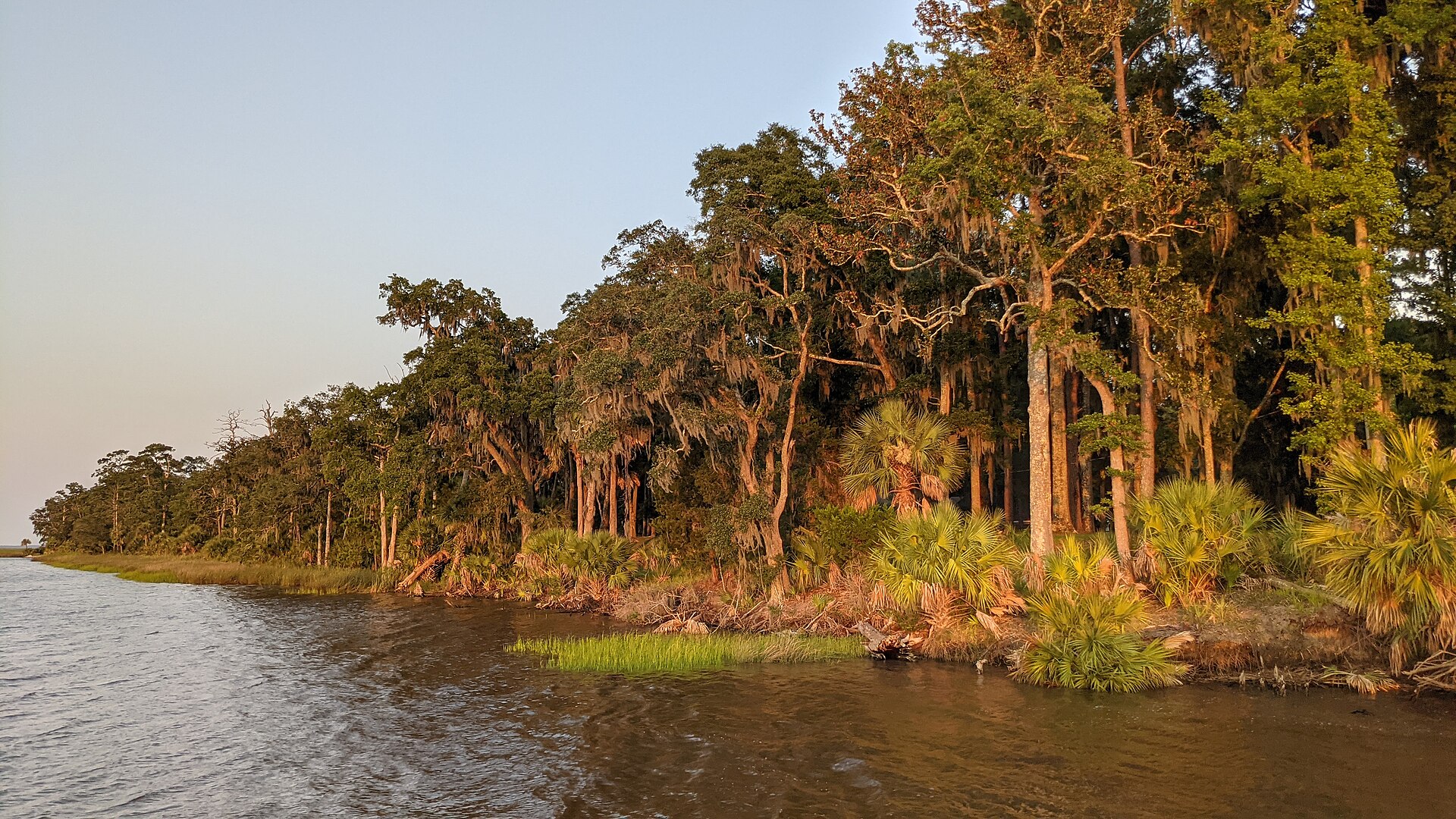Golden-hour light on live oaks, Spanish moss and palmetto along the Ogeechee River waterfront at Fort McAllister, Bryan County, Georgia.
